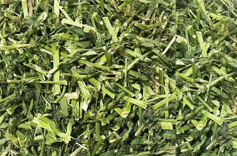 Alfalfa Pellets by Sahanis Impex Hub