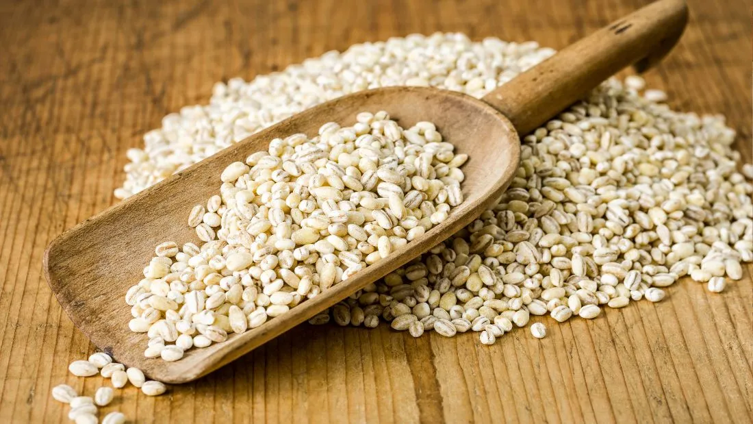 Wholesale Malting Barley by CMPT Manpower Services