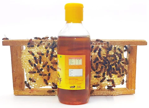 Moringa Honey by Svm Exports India