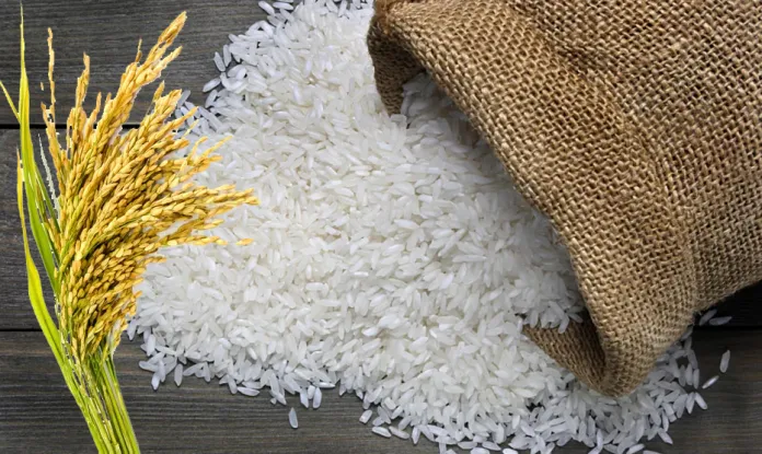 100% Broken Rice by Khanan International Traders Private Limited
