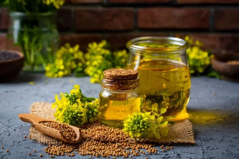 Canola Oil by Nilshantideep Enterprises