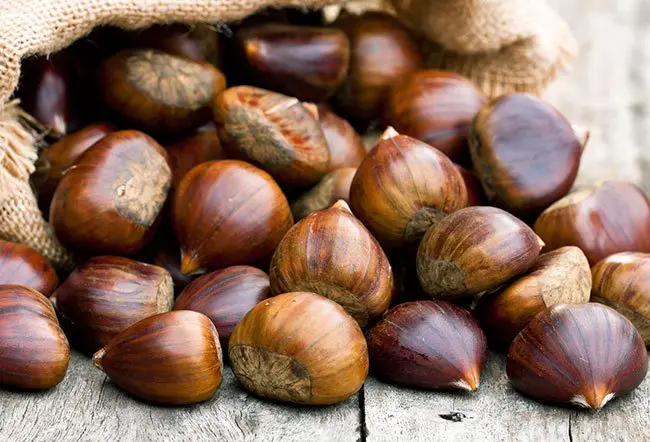 Chestnuts by Glolexy Farms