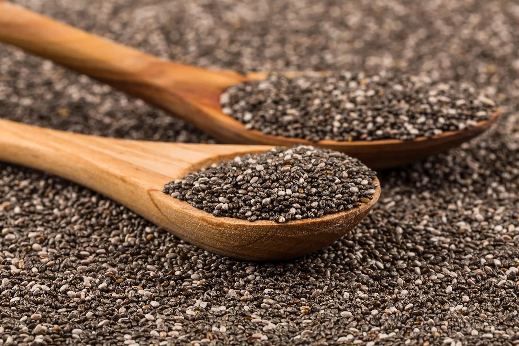 Chia Seeds by Madhura Trades
