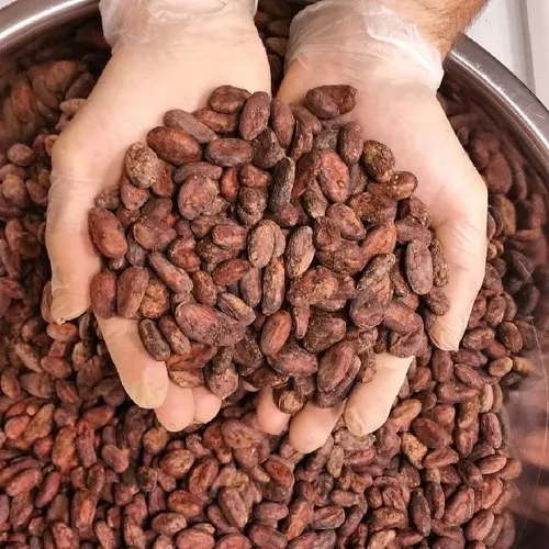 Cocoa Beans by Pro Trade International