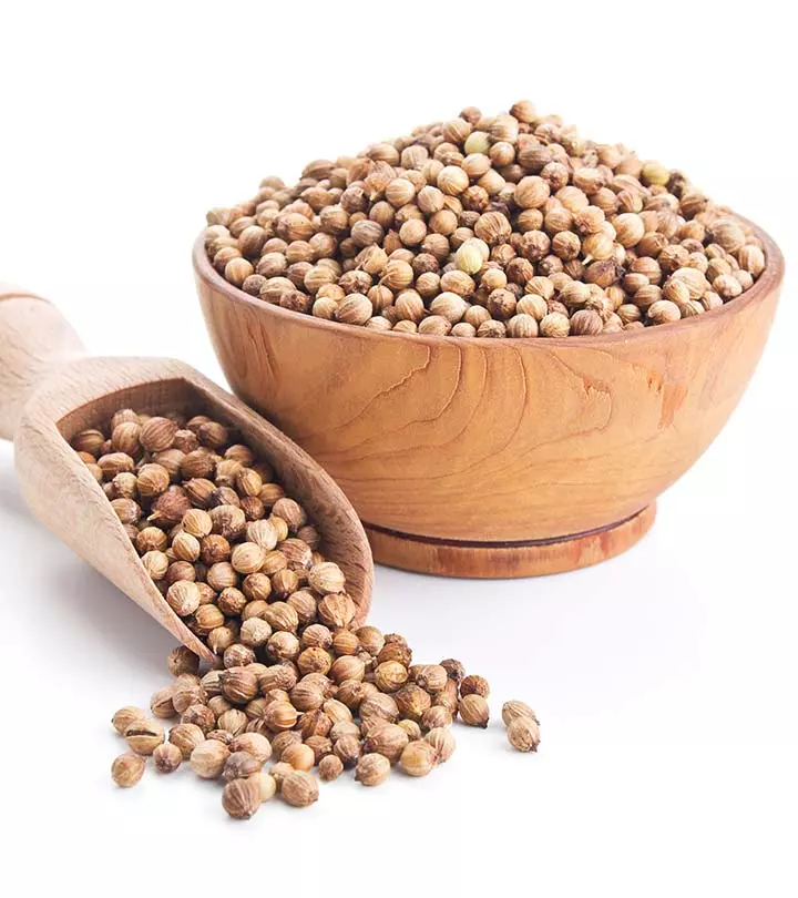 Coriander Seeds by J Brother Spices And Agri Export Private Limited