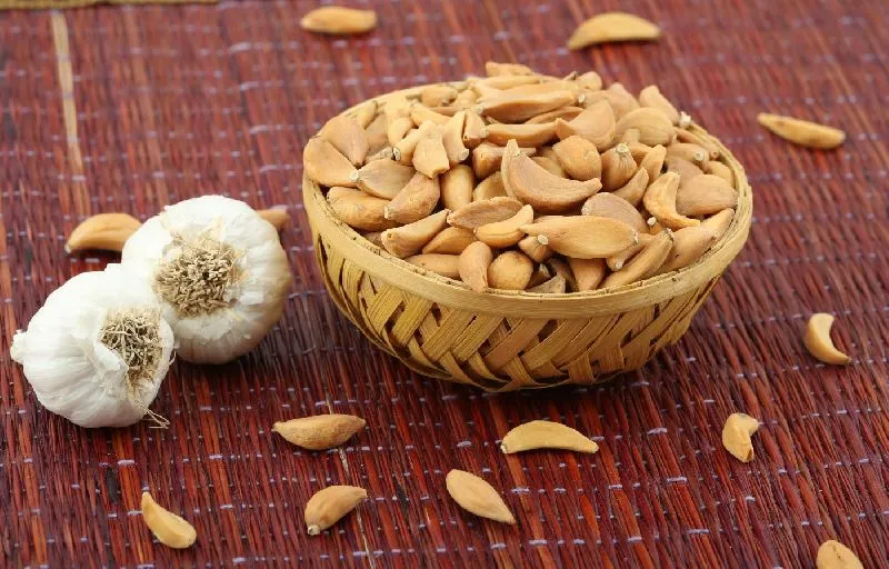 Fried Garlic Granule by Qingdao Eking Plus