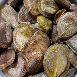 Sunflower Seeds by Saglam Food