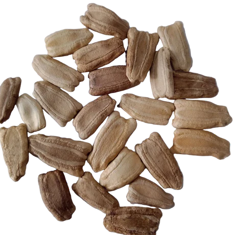 Vegetable Oil by Khanan International Traders Private Limited