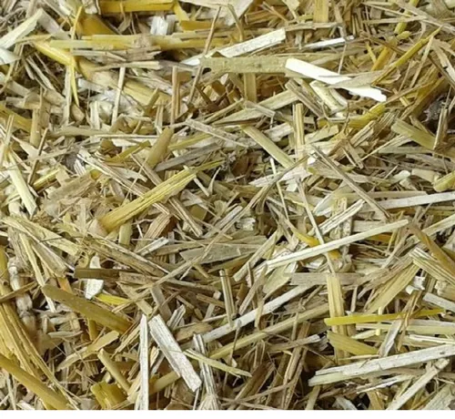 Hard Red Spring Wheat by Dwaarkesh Exim (OPC) Private Limited